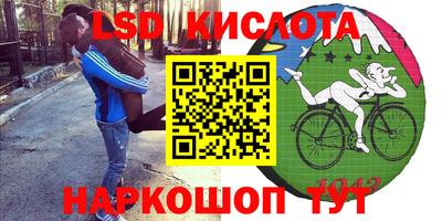 spice Камышлов