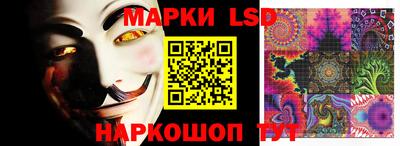 spice Камышлов
