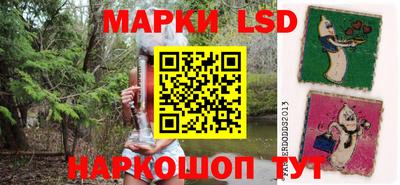 spice Камышлов