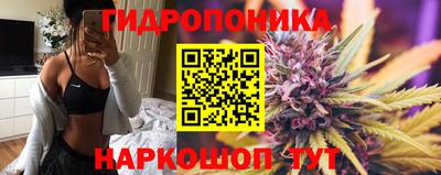 spice Камышлов