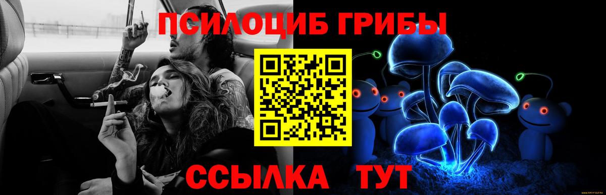 купить   Вход с VPN  Людиново  Псилоцибиновые грибы прущие грибы 